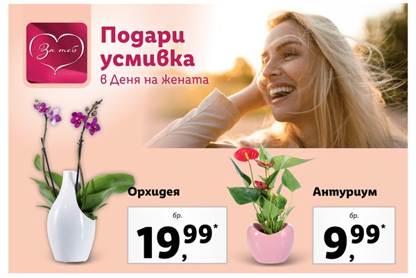 lidl-2